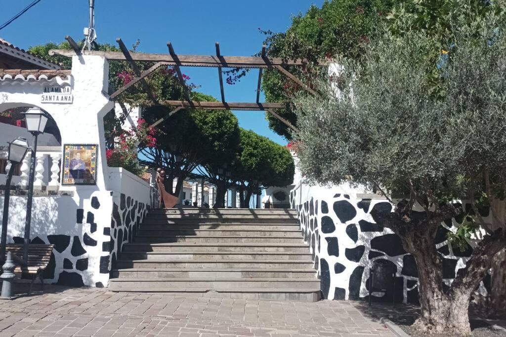 Casa En Calle Del Agua Daire Vega de San Mateo Dış mekan fotoğraf